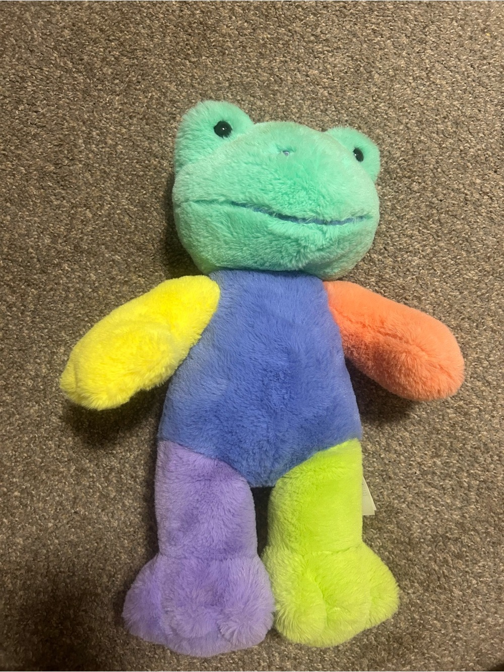 Build a Bear Hoppy Colors Frog plush stuffed animal